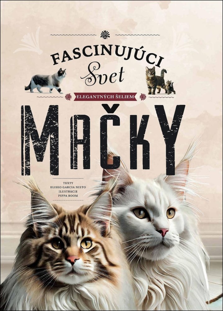Mačky