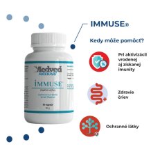 Medveď natural IMMUSE 30 kapsúl
