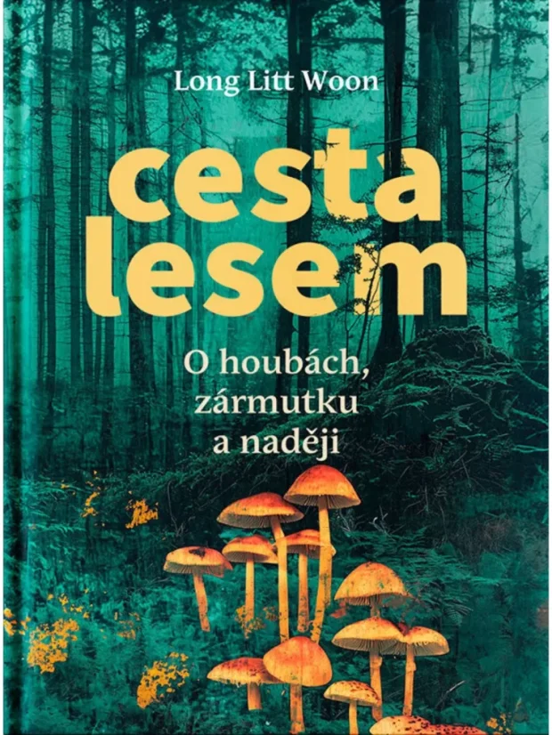 Cesta lesem