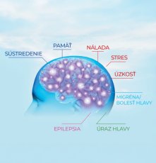 Medveď natural ATA Mg® 60 kapsú