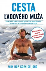 Cesta ľadového muža