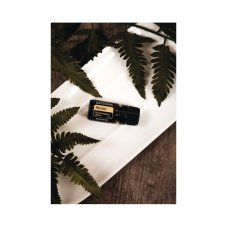 doTerra- Hinoki 5ml