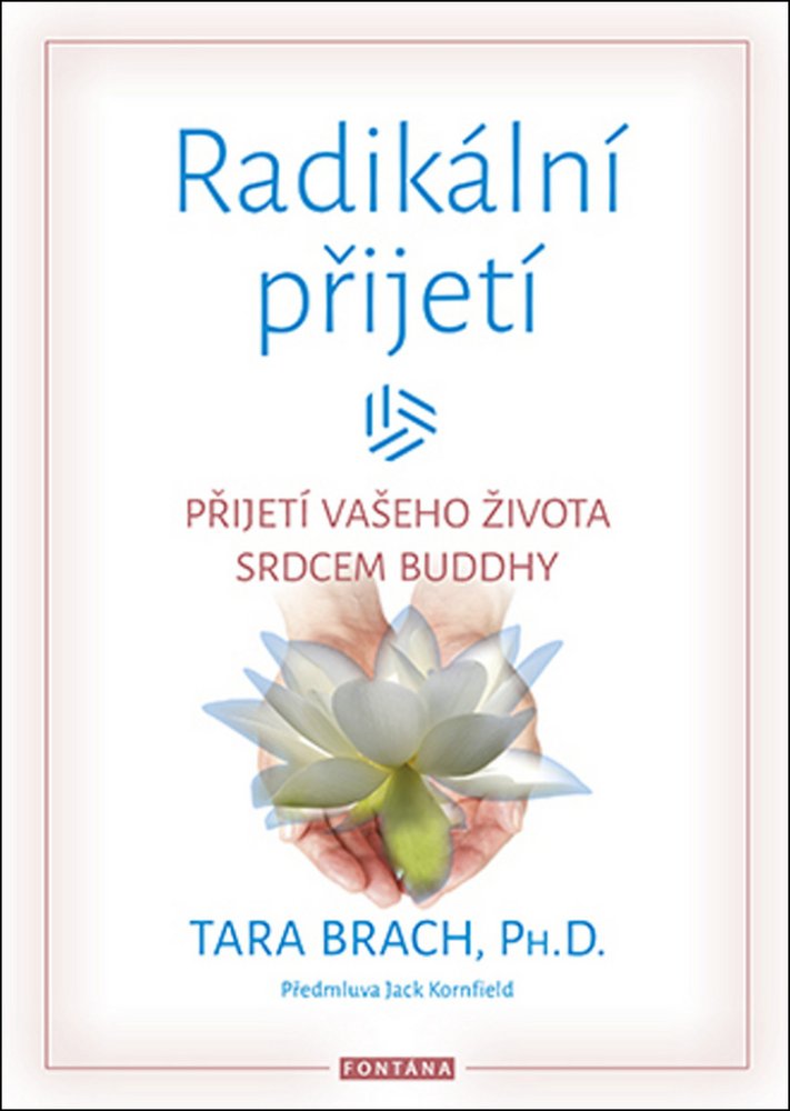 Radikální přijetí