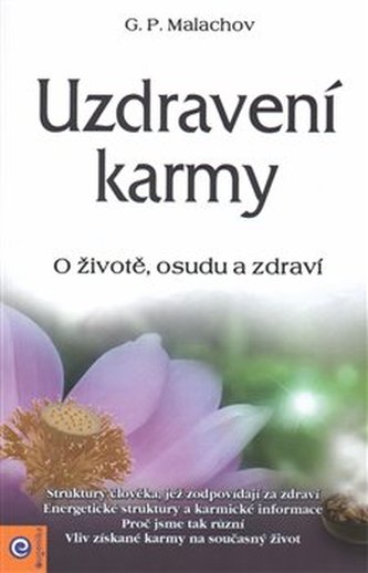 Uzdravení karmy