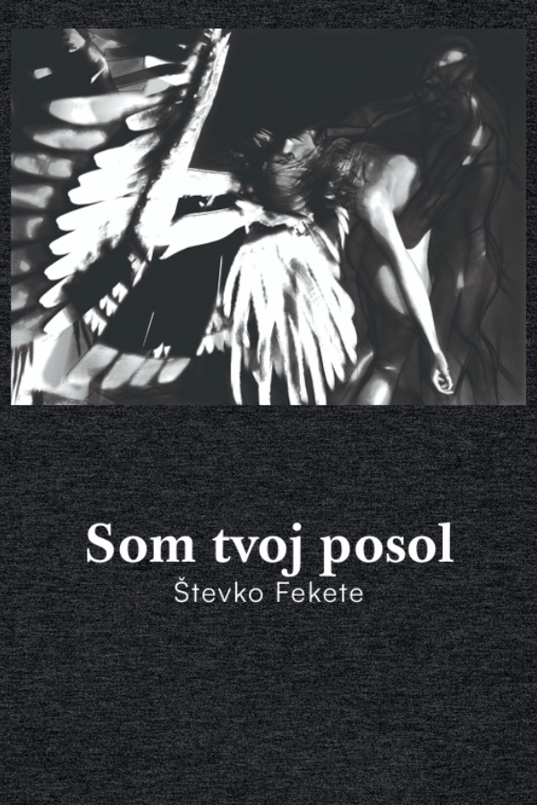 Som tvoj posol