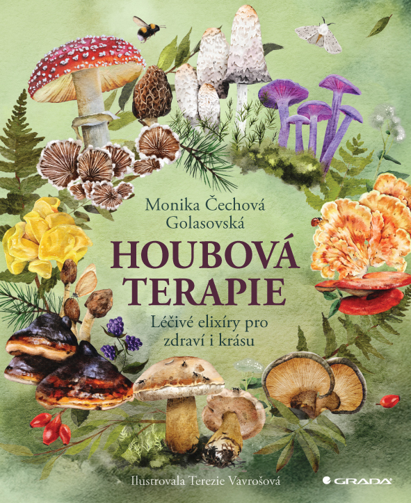 Houbová terapie/Léčivé elixíry pro zdraví i krásu